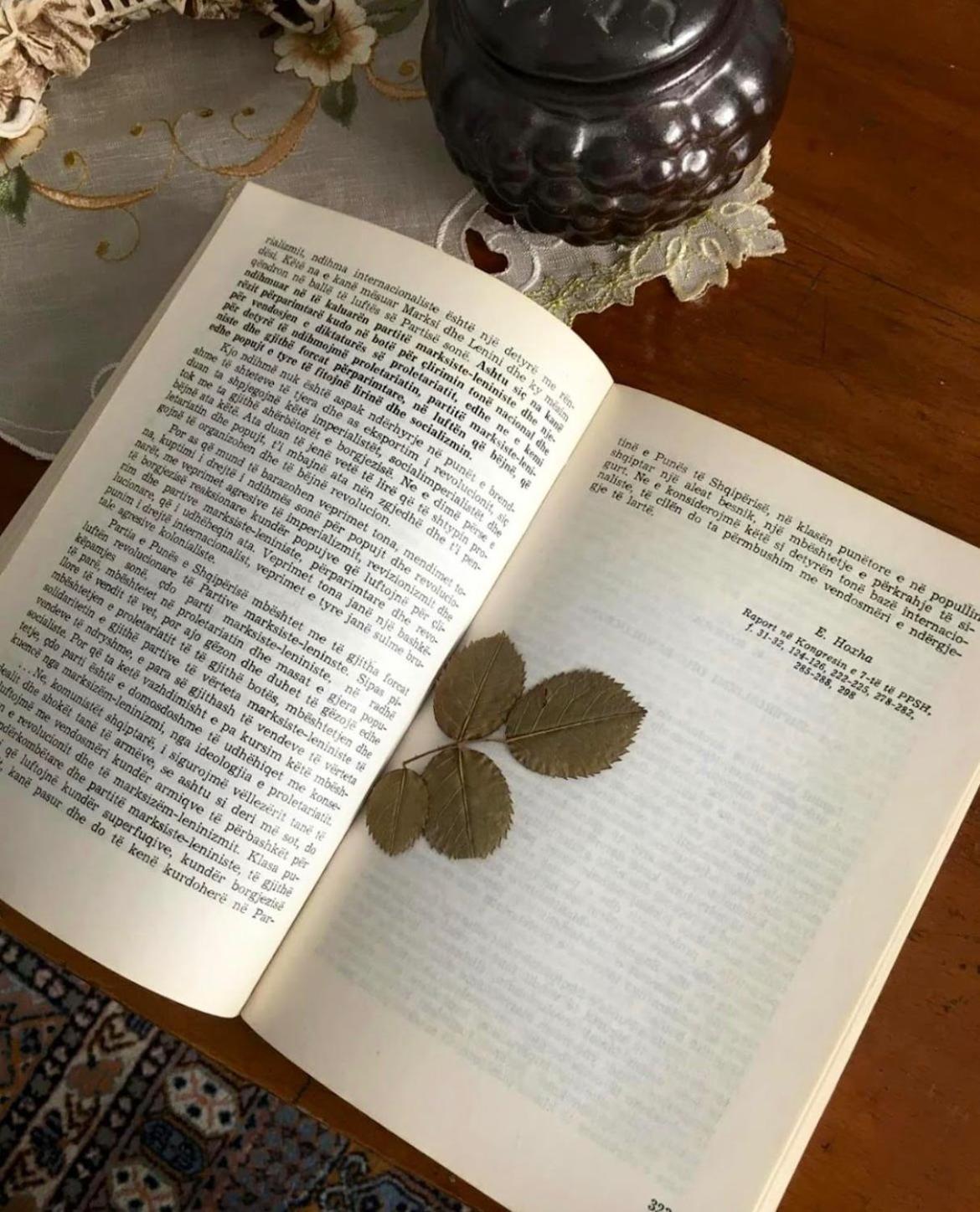 Communist Style Room Shkodër エクステリア 写真